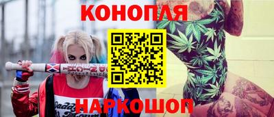 спиды Моздок