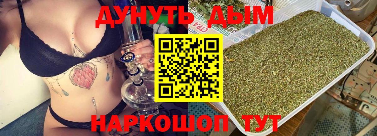 Канабис конопля Сургут